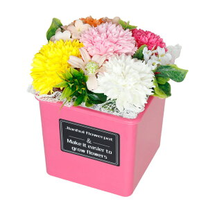 av[g \[vt[ \ a v[g Mtg {bNX |bg \[vt[Mtg u[P AWg  ԑ LO o J[l[V  ` FB 