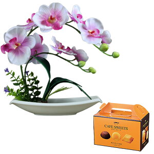   dp@~ ފ Mtg Ӓ v[g a av[g Mtg j ~j mَq  t[Mtg LO   ran   ԂƃXC[cZbg ԂƃX