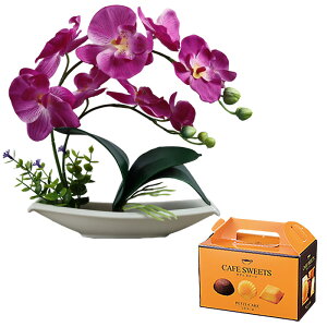   dp@~ ފ Mtg Ӓ v[g a av[g Mtg j ~j mَq  t[Mtg LO   ran   ԂƃXC[cZbg ԂƃX