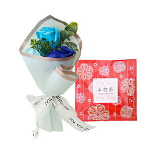 \[vt[ av[g \ a v[g Mtg oYj \[vt[Mtg AWg  ԑ LO o Cj  c FB  aj FB Fl 