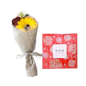 \[vt[  ~ \[vt[Mtg  v[g av[g ԑ a Mtg Ђ܂ o J[l[V ~ju[P g hbv   j  