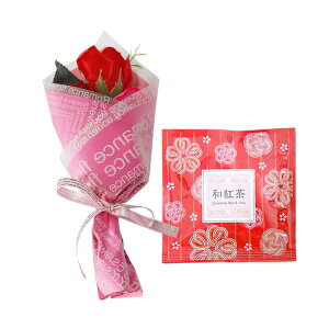 \[vt[  ~ \[vt[Mtg  v[g av[g ԑ a Mtg Ђ܂ o J[l[V ~ju[P g hbv   j  