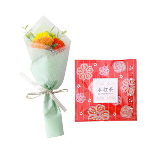 \[vt[  ~ \[vt[Mtg  v[g av[g ԑ a Mtg Ђ܂ o J[l[V ~ju[P g hbv   j  