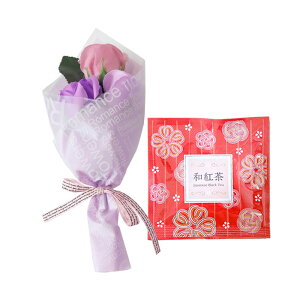 \[vt[  ~ \[vt[Mtg  v[g av[g ԑ a Mtg Ђ܂ o J[l[V ~ju[P g hbv   j  