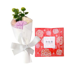 \[vt[  ~ \[vt[Mtg  v[g av[g ԑ a Mtg Ђ܂ o J[l[V ~ju[P g hbv   j  