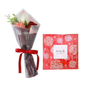 \[vt[  ~ \[vt[Mtg  v[g av[g ԑ a Mtg Ђ܂ o J[l[V ~ju[P g hbv   j  