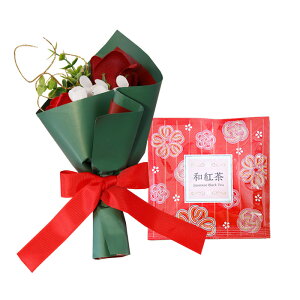 \[vt[  ~ \[vt[Mtg  v[g av[g ԑ a Mtg Ђ܂ o J[l[V ~ju[P g hbv   j  