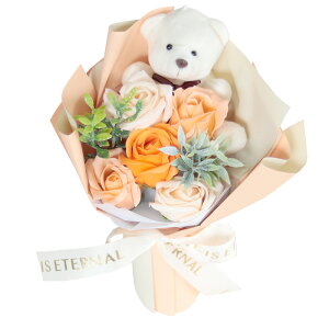 a \[vt[ ԑ  v[g av[g j l \ j Mtg a߂łƂ u[P ͂Ȃ  o Ђ܂ TCY  FB 70 60