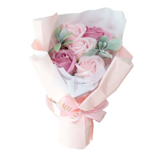 a \[vt[ ԑ  v[g av[g j l \ j Mtg a߂łƂ u[P ͂Ȃ  o Ђ܂ TCY  FB 70 60