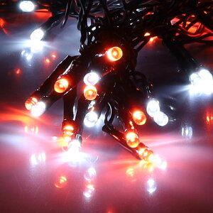 C~l[V O \[[ NX}X  Op C~l[VCg \[[C~l[VCg \[[ C~l[V 120 NX}X J[e  K[f