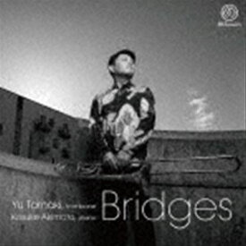 Bridges [CD]