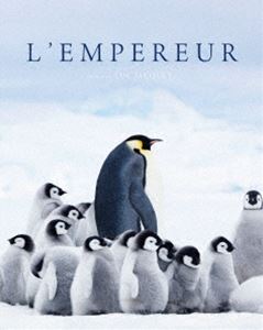皇帝ペンギン 高品質新品 ランキングTOP5 ただいま Blu-ray