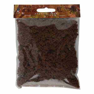 {̍gt[Wvc ubV 炿(͒) 24-376 NQ[W