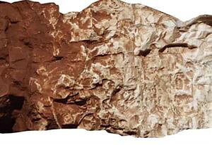 WI}LbhJ[ o[gAo[ 24-515 NQ[W