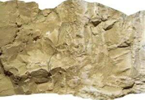 WI}LbhJ[ CG[ 24-516 NQ[W