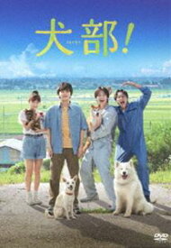 犬部! DVD（通常版） [DVD]