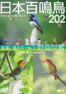 シンフォレストDVD 日本百鳴鳥 202 永遠の定番 DVD 当店一番人気 映像と鳴き声で愉しむ野鳥図鑑
