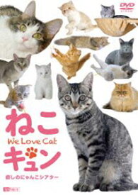 シンフォレストDVD ねこキュン 癒しのにゃんこシアター We Love Cat [DVD]