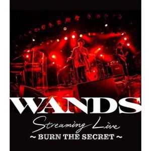 WANDS Streaming Live 25％OFF ～BURN ショッピング SECRET～ THE Blu-ray