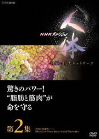 NHKスペシャル 人体 神秘の巨大ネットワーク 第2集 驚きのパワー!”脂肪と筋肉”が命を守る [DVD]