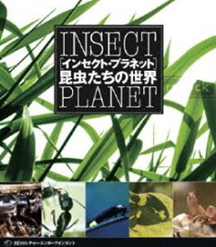 インセクト・プラネット 昆虫たちの世界 [DVD]