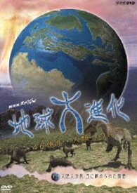 NHKスペシャル地球大進化46億年 第5集 大陸大分裂 目に秘められた物語 [DVD]
