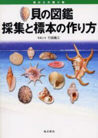 貝の図鑑採集と標本の作り方 海からの贈り物