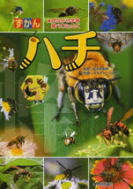 ずかんハチ 見ながら学習調べてなっとく