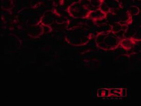 輸入盤 OSI / BLOOD （RE-ISSUE ＋ BONUS） [2CD]
