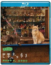 岩合光昭の世界ネコ歩き ソレントとカプリ島 [Blu-ray]
