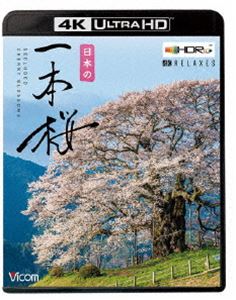 ビコム 4K Relaxes 日本の一本桜【4K・HDR】 [Ultra HD Blu-ray]