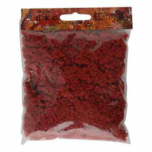 {̍gt[Wvc ubV ([) 24-379 NQ[W