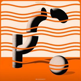 輸入盤 HOOKWORMS / MICROSHIFT [CD]