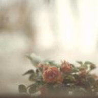 シー・オリーナ / シー・オリーナ [CD]