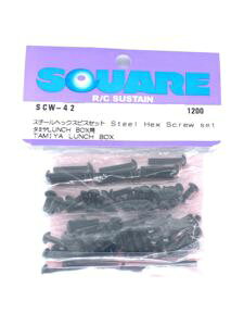 X`[wbNXrXZbg ^~ LUNCH BOXp SCW-42 RCp[c