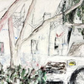 Jurassic Boys / On The Way Back Home [CD]