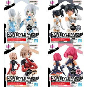 30MS IvVwAX^Cp[cVol.10 S4Zbg vfp[c