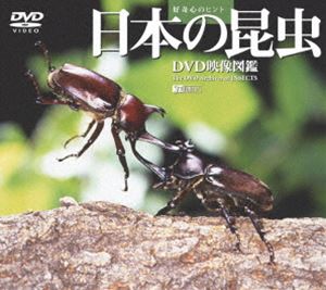 引き出物 日本の昆虫 開店祝い DVD映像図鑑 DVD