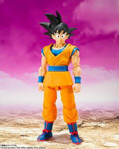 S.H.Figuarts hS{[DAIMA -DAIMA- hς݉tBMA