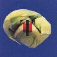 T-SQUARE / NATURAL [CD]