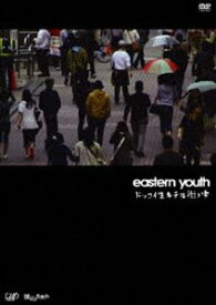 eastern youth／ドッコイ生キテル街ノ中 [DVD]