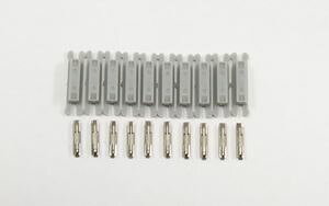 WCi[Zbg(/ve10) A012 ZQ[W