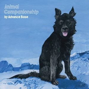 輸入盤 ADVANCE BASE COMPANIONSHIP オンライン限定商品 CD 2020新作 ANIMAL