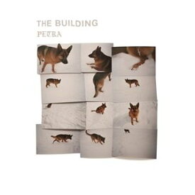 輸入盤 BUILDING / PETRA [CD]