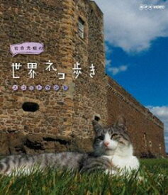 岩合光昭の世界ネコ歩き スコットランド [Blu-ray]