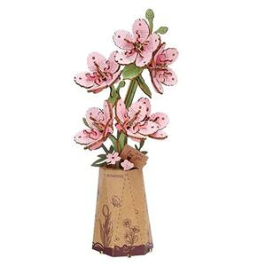 ؐ Sakura TW101 DIYLbg
