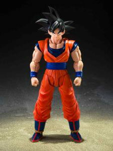 S.H.Figuarts hS{[Z 󁃐SDTCl hς݉tBMAy\z