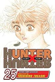 Hunter x Hunter Vol.25／ハンター×ハンター 25巻
