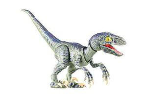 RV[Y No.303 FLvg ufN񂿂I̋Lv pbP[Wo[W gݗĎvf