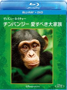 ディズニーネイチャー チンパンジー 買取 愛すべき大家族 セール 登場から人気沸騰 ブルーレイ Blu-ray DVDセット